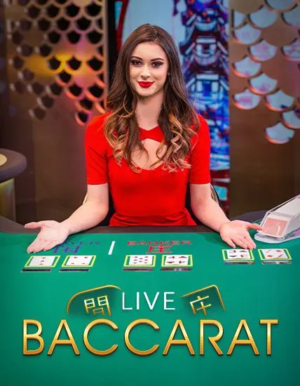 Ck444 App Live Casino - Baccarat Game Interface